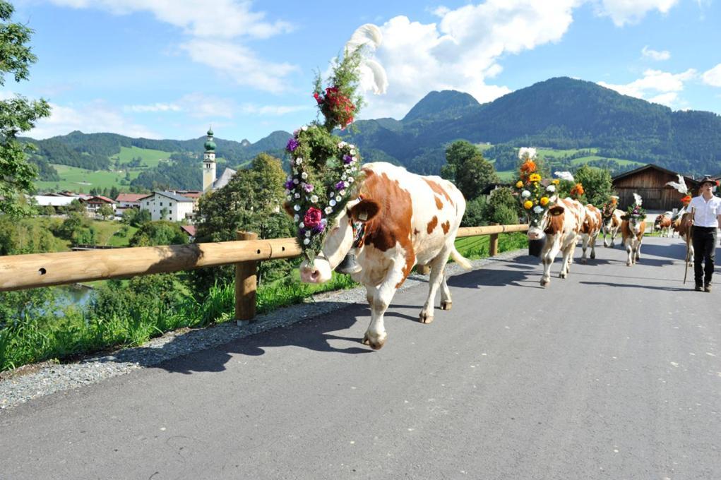 Alpapart Schneider Alpbach Exterior foto