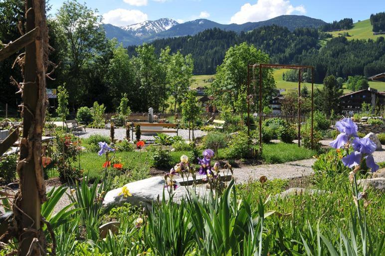 Alpapart Schneider Alpbach Exterior foto